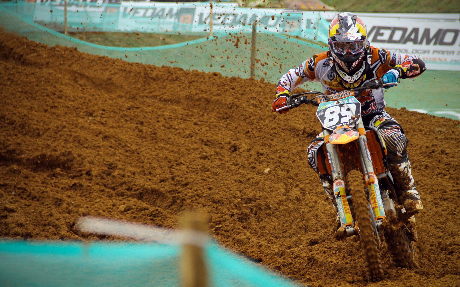 大型骑行节，绿色出行焕发新活力，绿色骑行环保先行